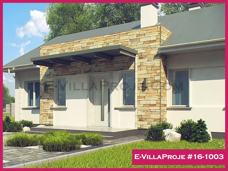 Ev Villa Proje #16-1003 Ev Villa Projesi Model Detayları