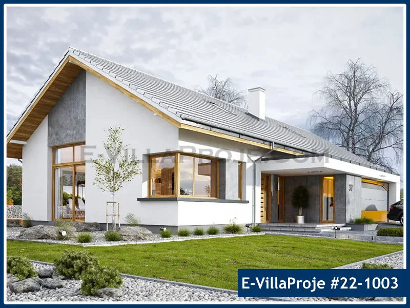 Ev Villa Proje #22 – 1003 Villa Proje Detayları